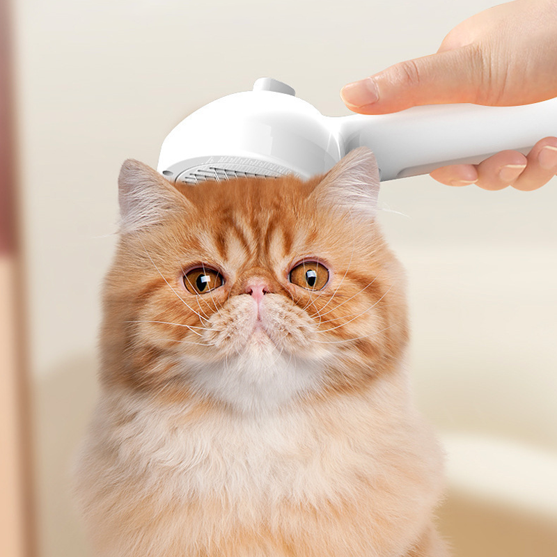 Spray Groomer Comb (with 20 ml serum)