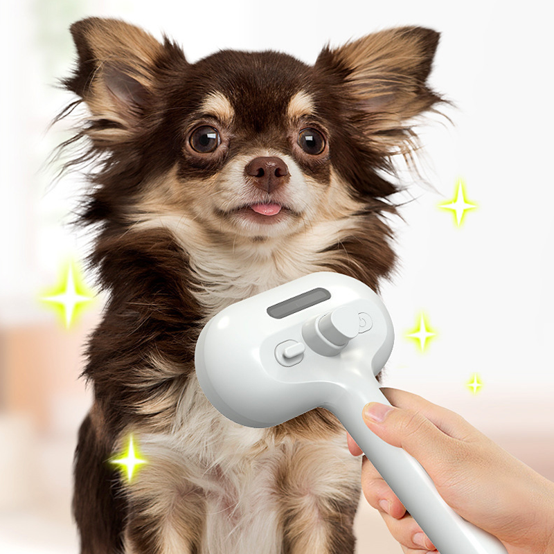 Spray Groomer Comb (with 20 ml serum)