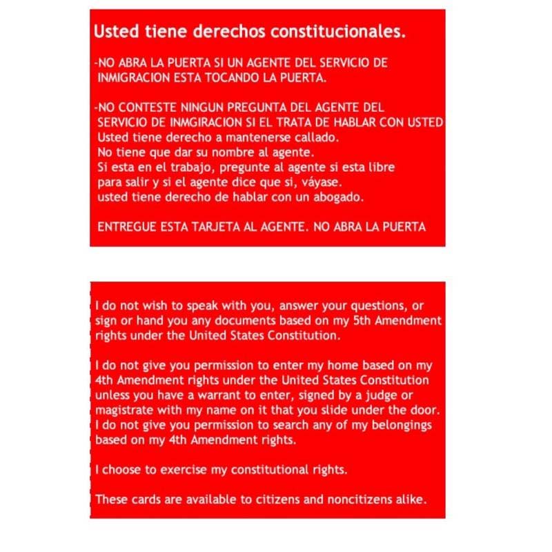 Citizens Rights Card Know Your Rights Card - U.S. Citizenship (5 pcs) – lilyrhyme
