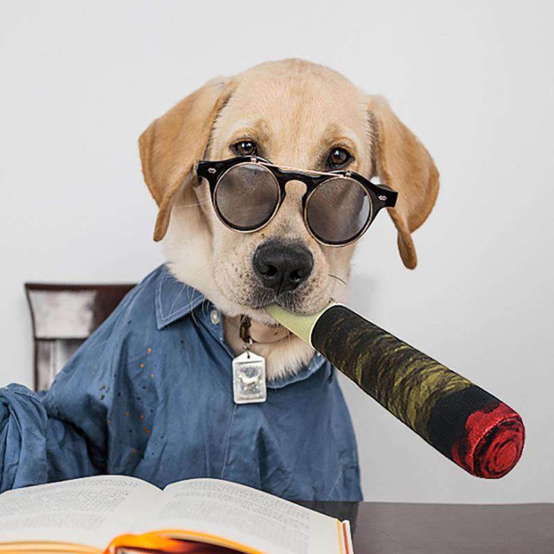 Cigar Design Funny Dog Toys