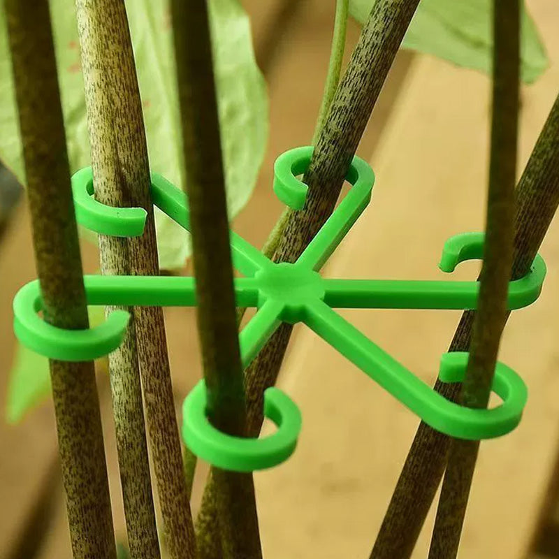 Monstera support retainer