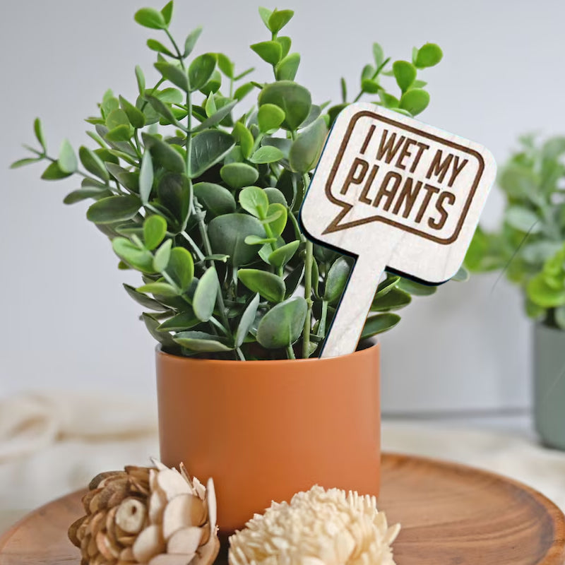 Wood Plant Stakes
