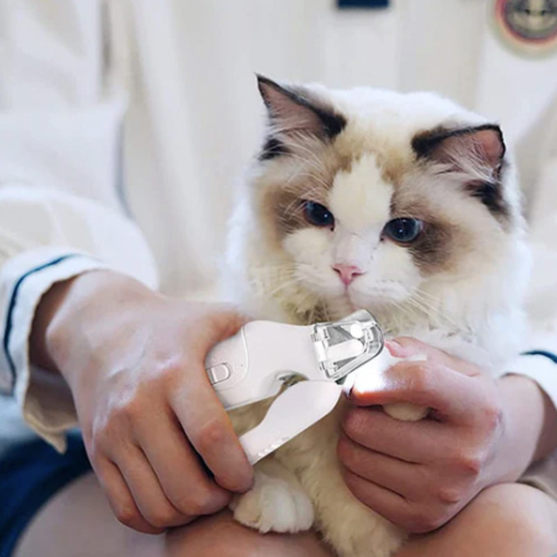 Pet Nail Polisher