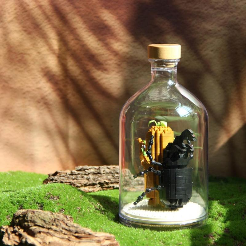 Insect Collection Building Blocks with Glass Display Bottle