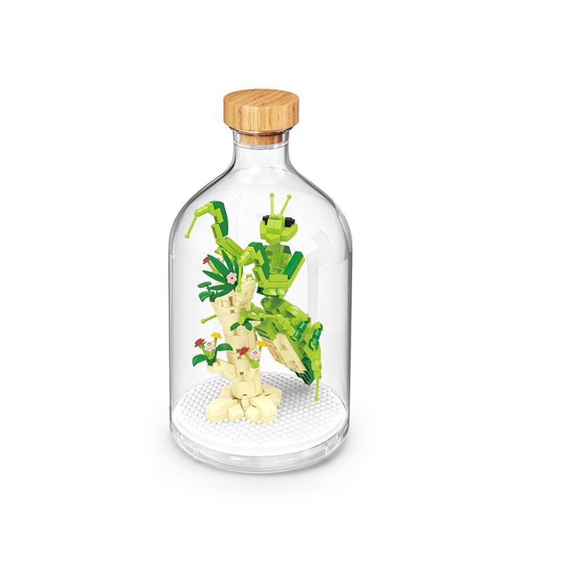 Insect Collection Building Blocks with Glass Display Bottle