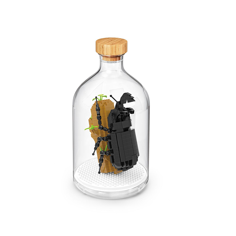 Insect Collection Building Blocks with Glass Display Bottle