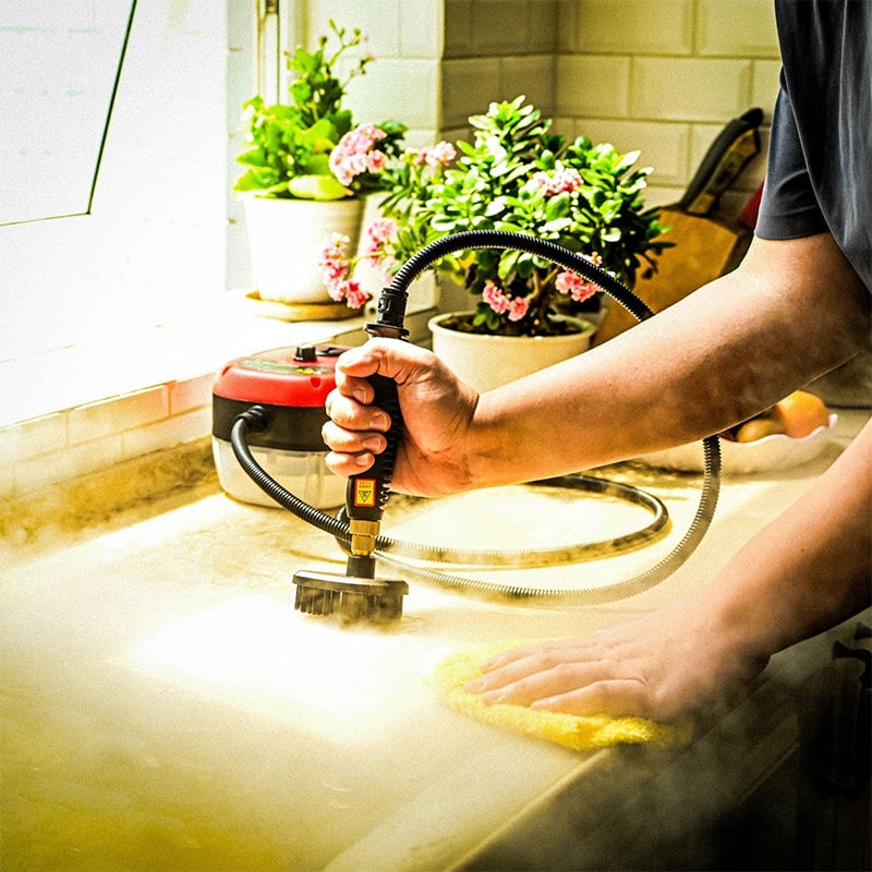 Handheld Steam Cleaner