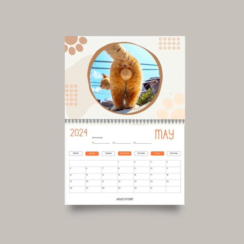 Funniest calendar of the century | Funny Cat Calendar 2024