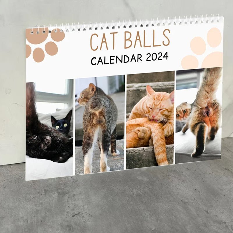 Funniest calendar of the century | Funny Cat Calendar 2024