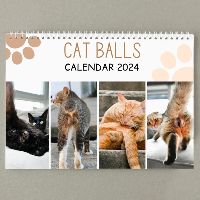 Funniest calendar of the century | Funny Cat Calendar 2024