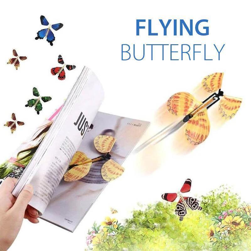 The Magic Flying Butterfly