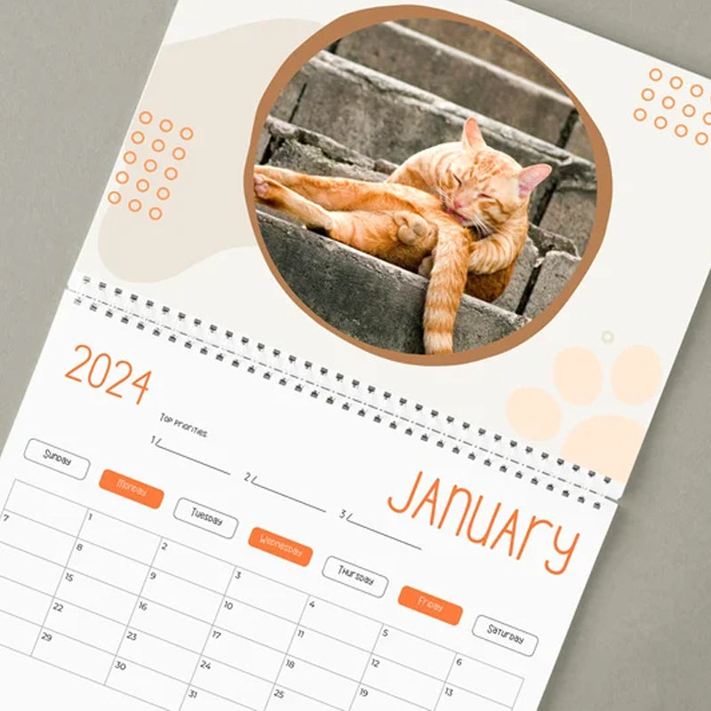 Funniest calendar of the century | Funny Cat Calendar 2024