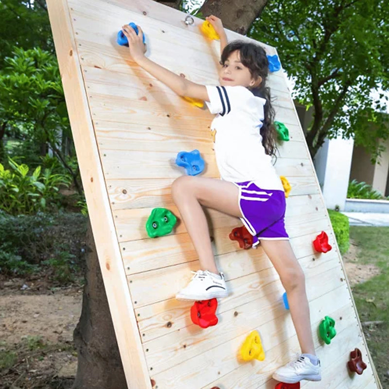 Kids Backyard Rock Climbing Kit