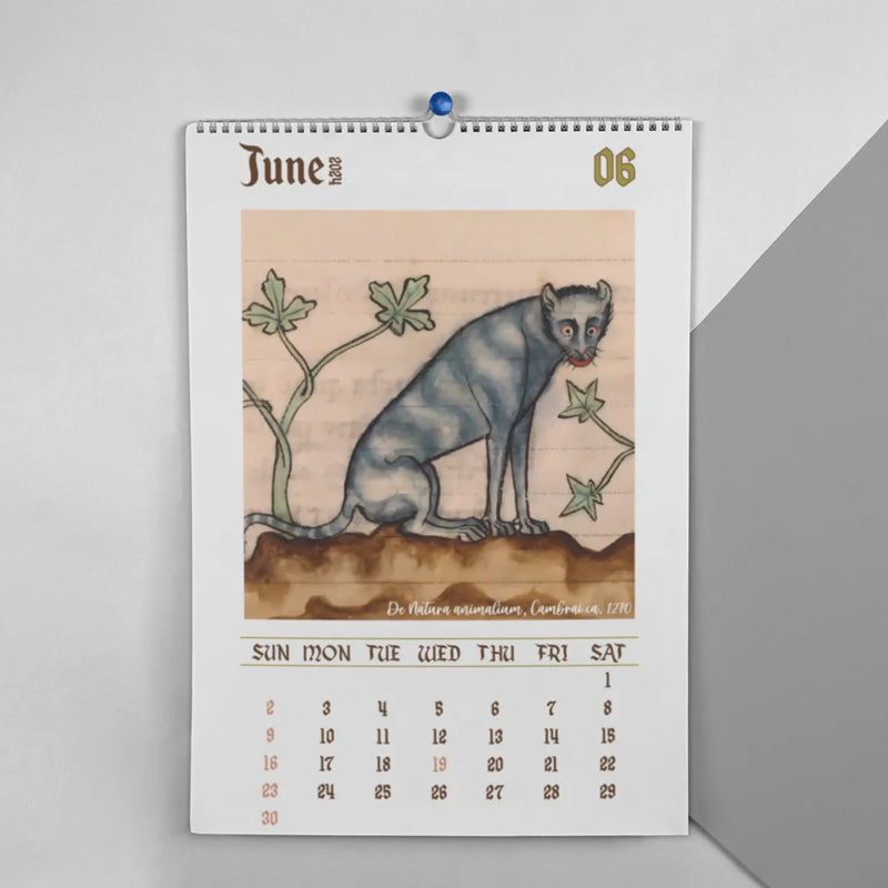 2024 Weird Medieval Cats Calendar