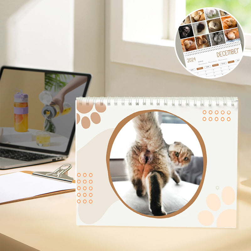 Funniest calendar of the century | Funny Cat Calendar 2024