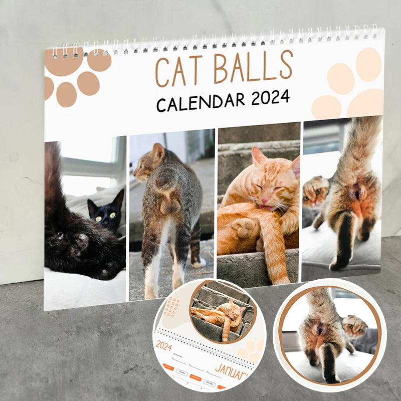 Funniest calendar of the century Funny Cat Calendar 2024 lilyrhyme